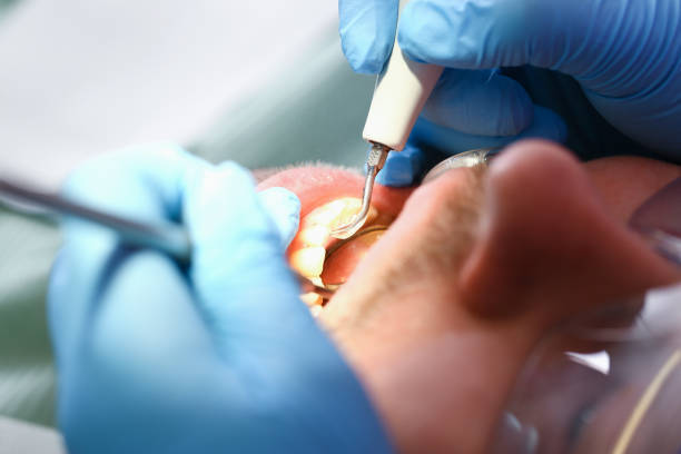 Best Urgent Dental Care  in Bushnell, IL